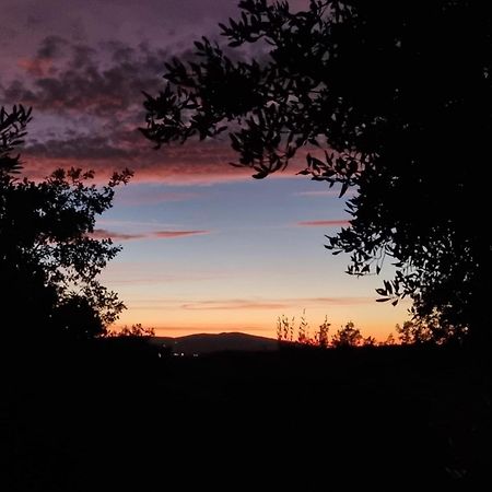 Dimora Nel Chianti Pensionat San Sano Exteriör bild