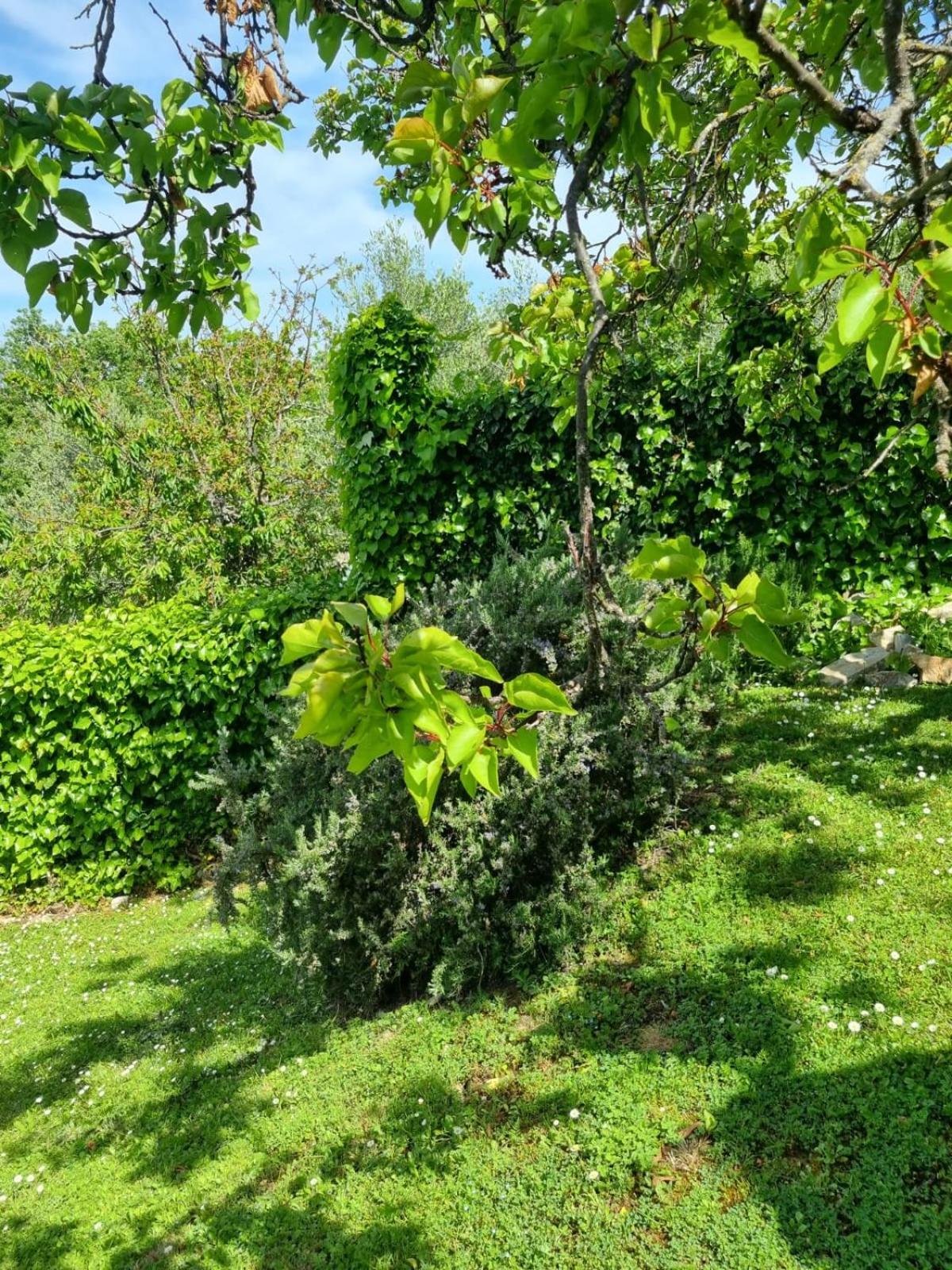 Dimora Nel Chianti Pensionat San Sano Exteriör bild