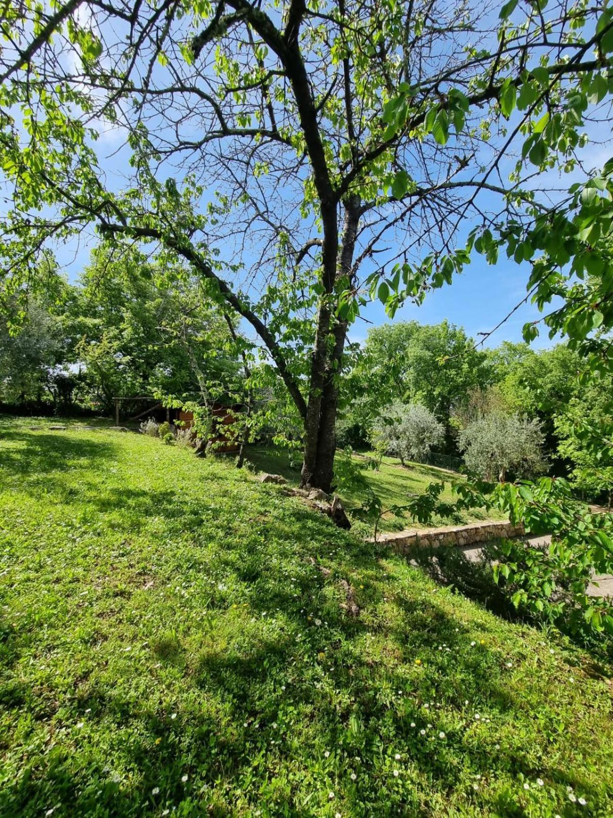Dimora Nel Chianti Pensionat San Sano Exteriör bild